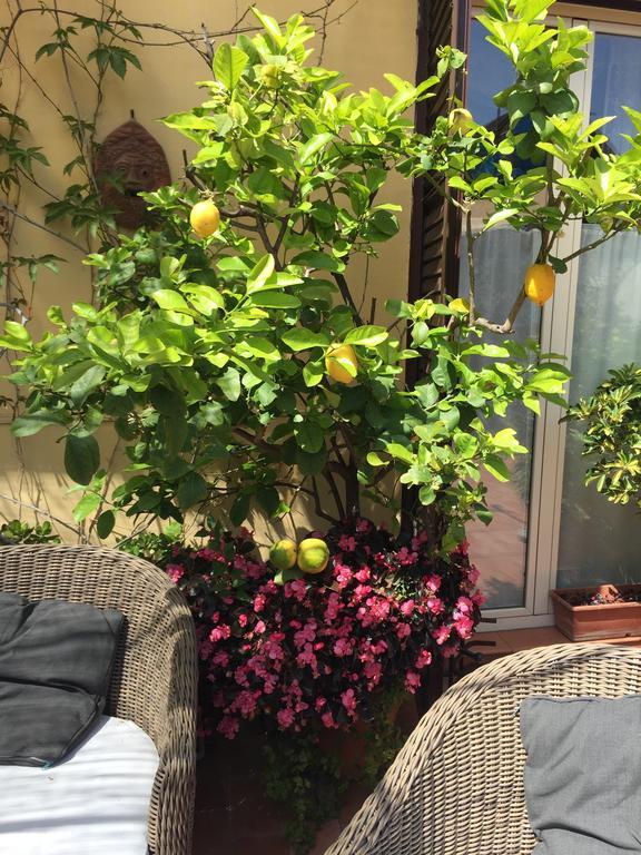 Terrazza Duomo Bed and Breakfast Napoli Eksteriør billede